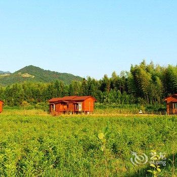 武夷山花世界花海木屋酒店提供图片