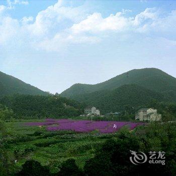 莫干山平月居客栈酒店提供图片