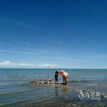 青海湖黑马河天域蒙古包度假客栈酒店提供图片