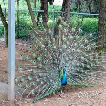 肇庆宋隆小镇度假酒店酒店提供图片