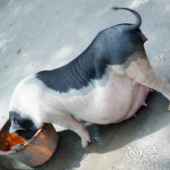 肇庆宋隆小镇度假酒店酒店提供图片