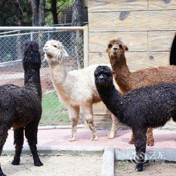 肇庆宋隆小镇度假酒店酒店提供图片