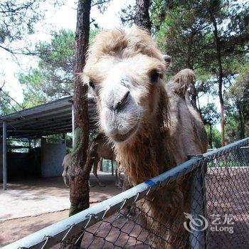 肇庆宋隆小镇度假酒店酒店提供图片