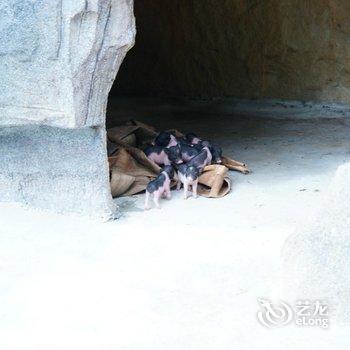 肇庆宋隆小镇度假酒店酒店提供图片