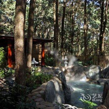 安宁金方森林温泉半山酒店酒店提供图片