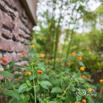 武夷水庄上溪花园别墅酒店酒店提供图片