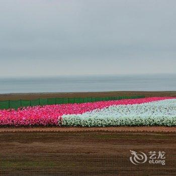 青海湖左岸青年旅舍酒店提供图片