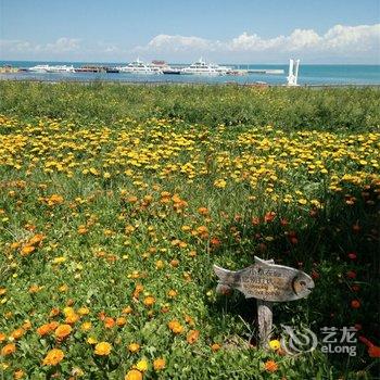 青海湖温馨苑账房宾馆酒店提供图片