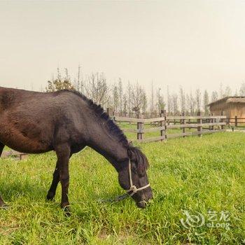 无锡田园东方花间堂·稼圃集温泉别墅酒店提供图片