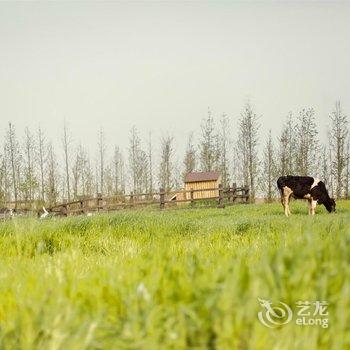 无锡田园东方花间堂·稼圃集温泉别墅酒店提供图片