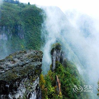 武隆仙女山香名居凯憬酒店酒店提供图片