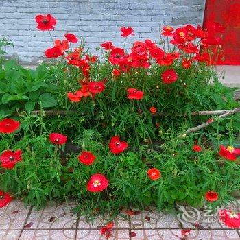 宁武芦芽山客栈酒店提供图片