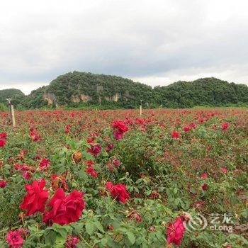 普者黑逸香阁客栈酒店提供图片