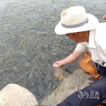 黑马河赛但湖边旅游客迎中心酒店提供图片