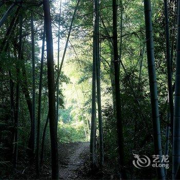 开元颐居·萧山海鸟天地酒店提供图片