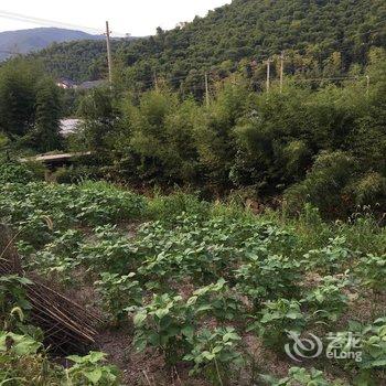 莫干山有客住家酒店提供图片