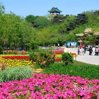 北戴河军磊旅馆酒店提供图片