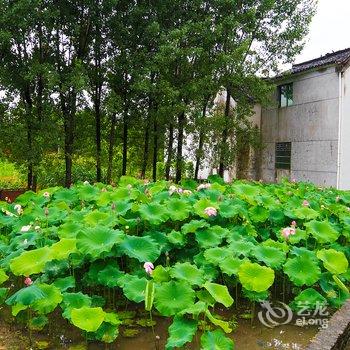 建德新叶如梦佳宾馆酒店提供图片