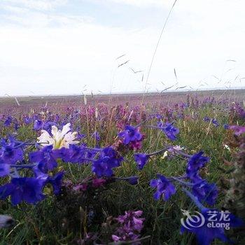 青海湖天边牧人帐篷酒店酒店提供图片