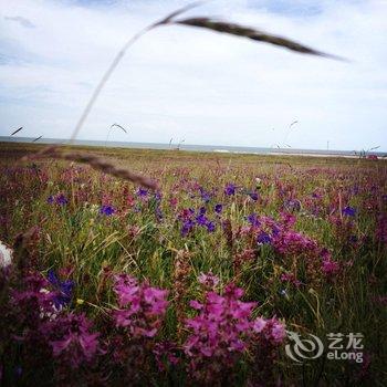 青海湖天边牧人帐篷酒店酒店提供图片