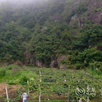 楠溪江长寿花客栈酒店提供图片