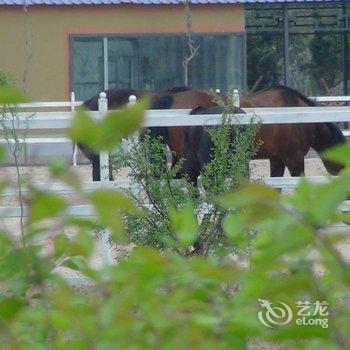 衡水成博万豪大酒店酒店提供图片