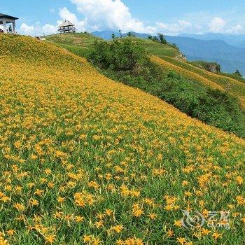 花莲黑熊国际青年背包客栈酒店提供图片