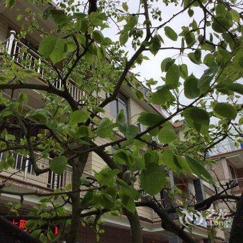 浙西大峡谷畔山小居农家乐酒店提供图片