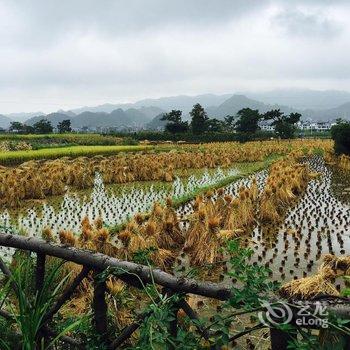 兴义市万峰林憨憨客栈酒店提供图片