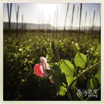 澄江抚仙湖柔软时光度假客栈酒店提供图片