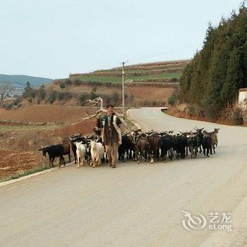 昆明东川红土地客栈酒店提供图片