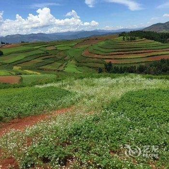 昆明东川红土地客栈酒店提供图片