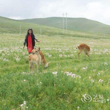 祁连阿柔部落寻鹿山庄酒店提供图片