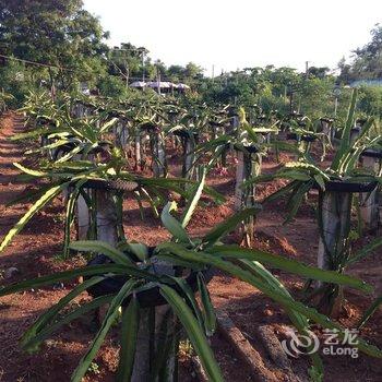 北海涠洲岛时光剪影客栈酒店提供图片