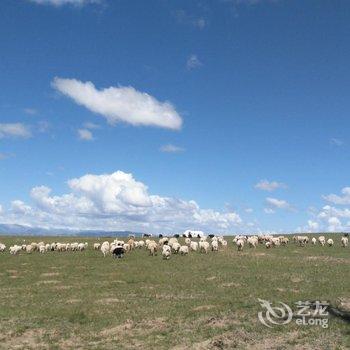 青海湖鸟岛牧人家帐房宾馆酒店提供图片