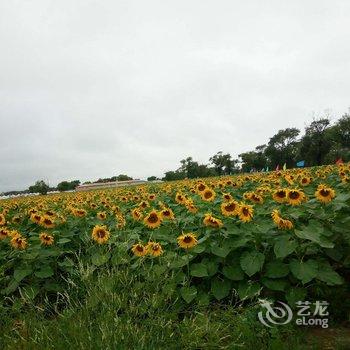 张北塞外农庄农家院酒店提供图片