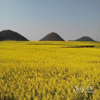 罗平花中游客栈酒店提供图片