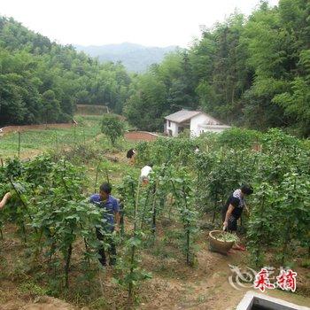 株洲酒埠江龙泉山庄酒店提供图片