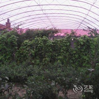 安图长白山心园山庄酒店提供图片