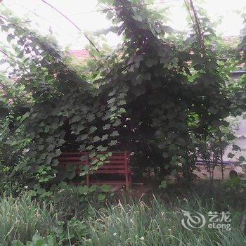 安图长白山心园山庄酒店提供图片
