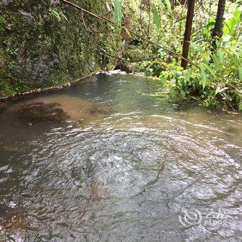 峨眉山蓬莱酒店酒店提供图片