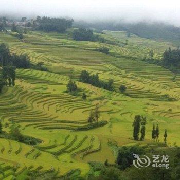 元阳山外青山客栈酒店提供图片