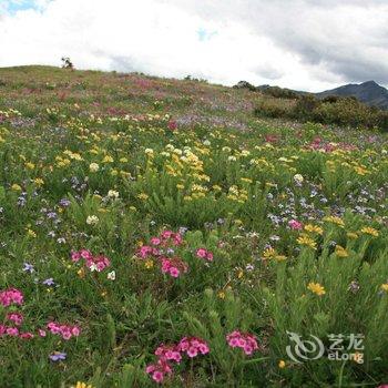 海螺沟登巴客栈酒店提供图片