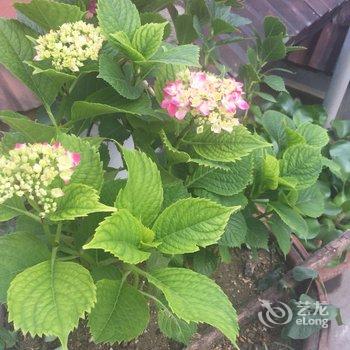 泰安红门流年·悠闲时光客栈酒店提供图片