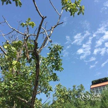 泰安红门流年·悠闲时光客栈酒店提供图片