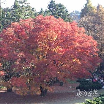 庐山阳光家庭旅舍酒店提供图片