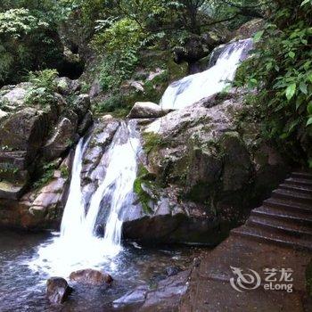 青城后山龙飞山庄酒店提供图片