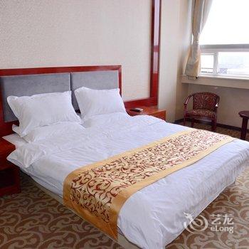 泰安辰龙宾馆(原新双龙酒店)酒店提供图片