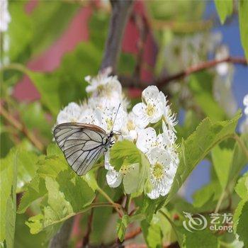 阿拉善盟贺兰山福因梵境酒店酒店提供图片