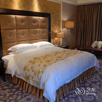 四川川投国际酒店酒店提供图片